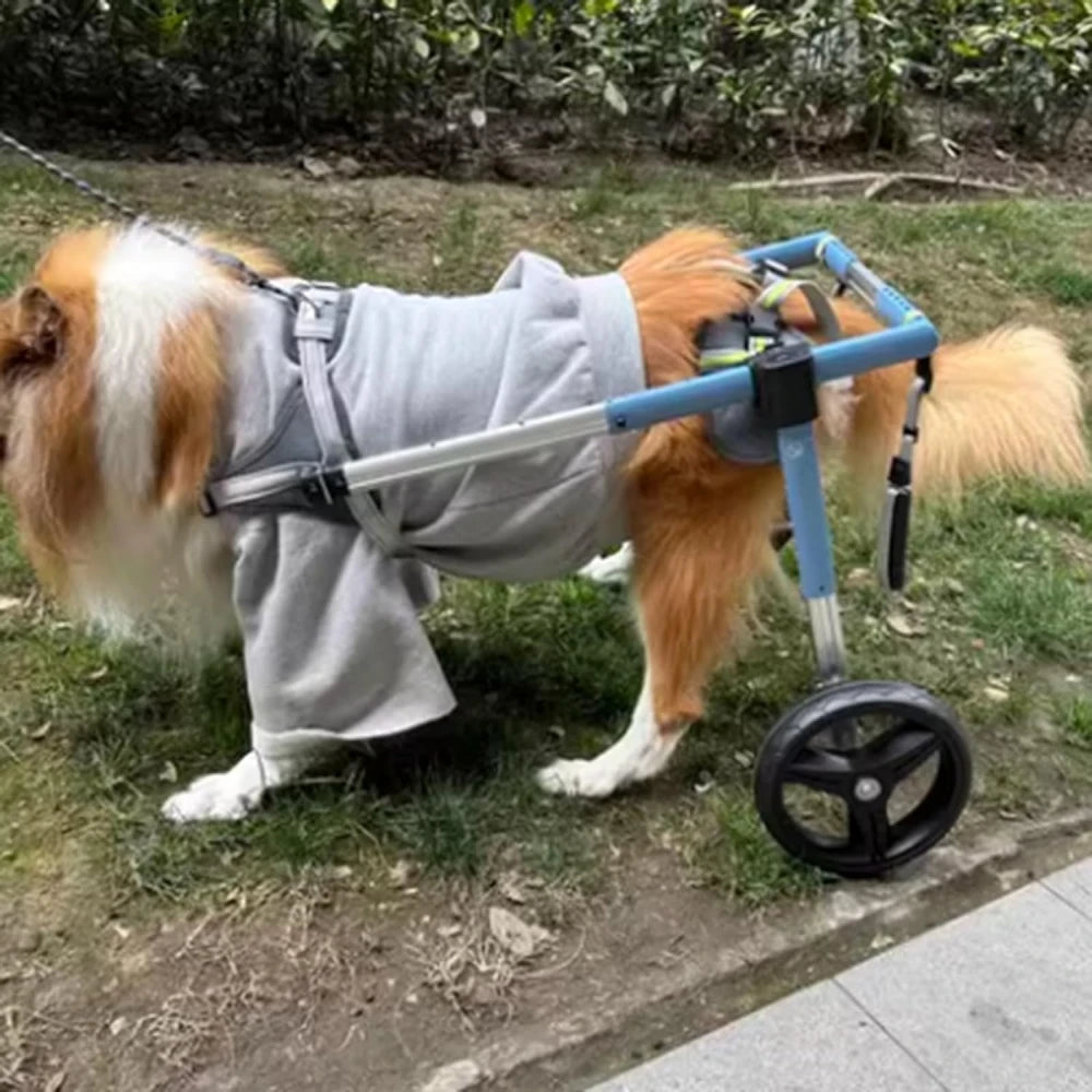 Dog Wheelchair Hind Limb Paralysis Rehabilitation Wheelchair Walk Disabled Car Elderly Auxiliary Teddy Pet Dog Hind Leg Bracket