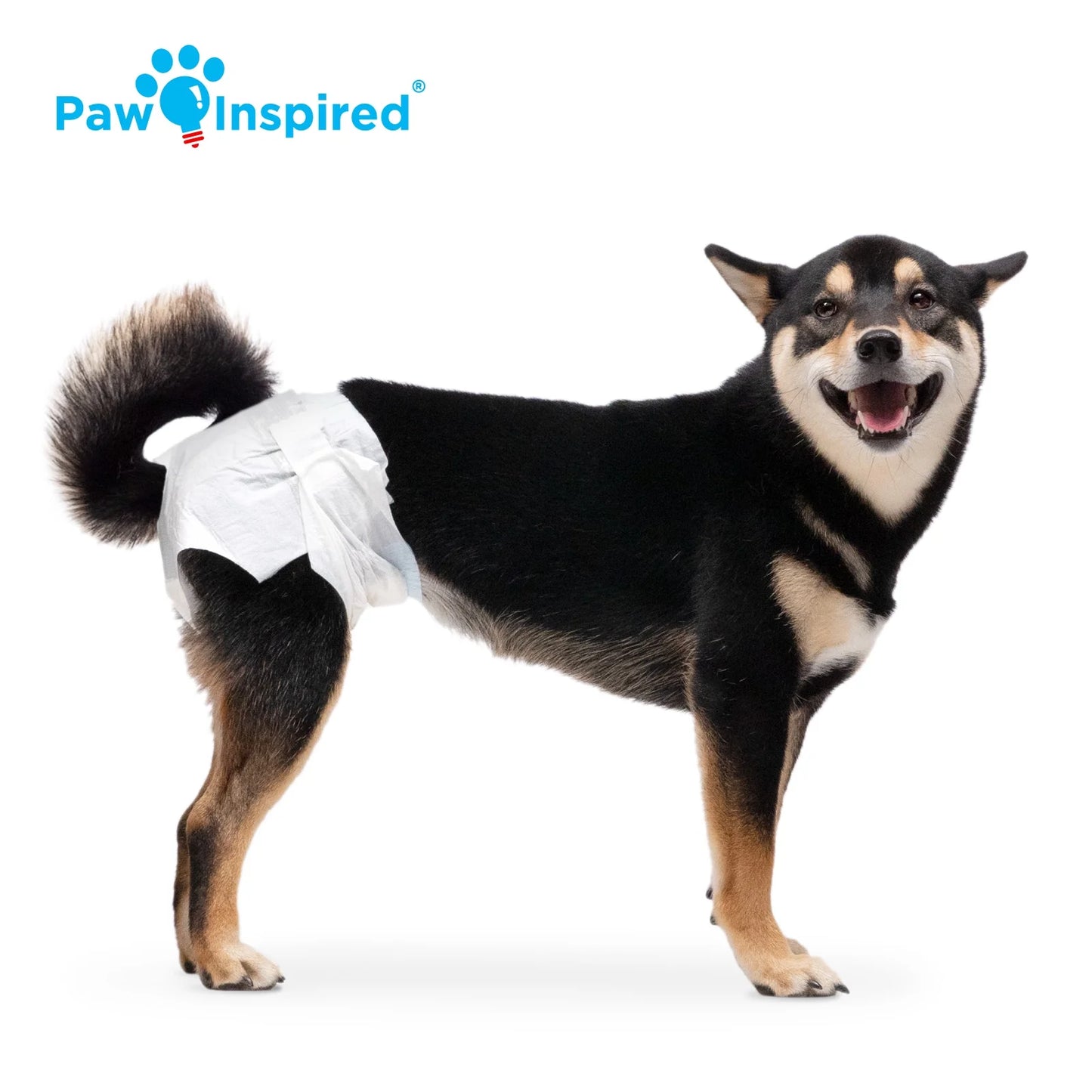 Disposable Dog Diapers Female| Puppy, Doggie, Cat, Pet Diapers |Diapers for Dogs in Heat Period, Diapers That Stay On, Senior, Excitable Urination, or Incontinence (Medium, 32 Count)
