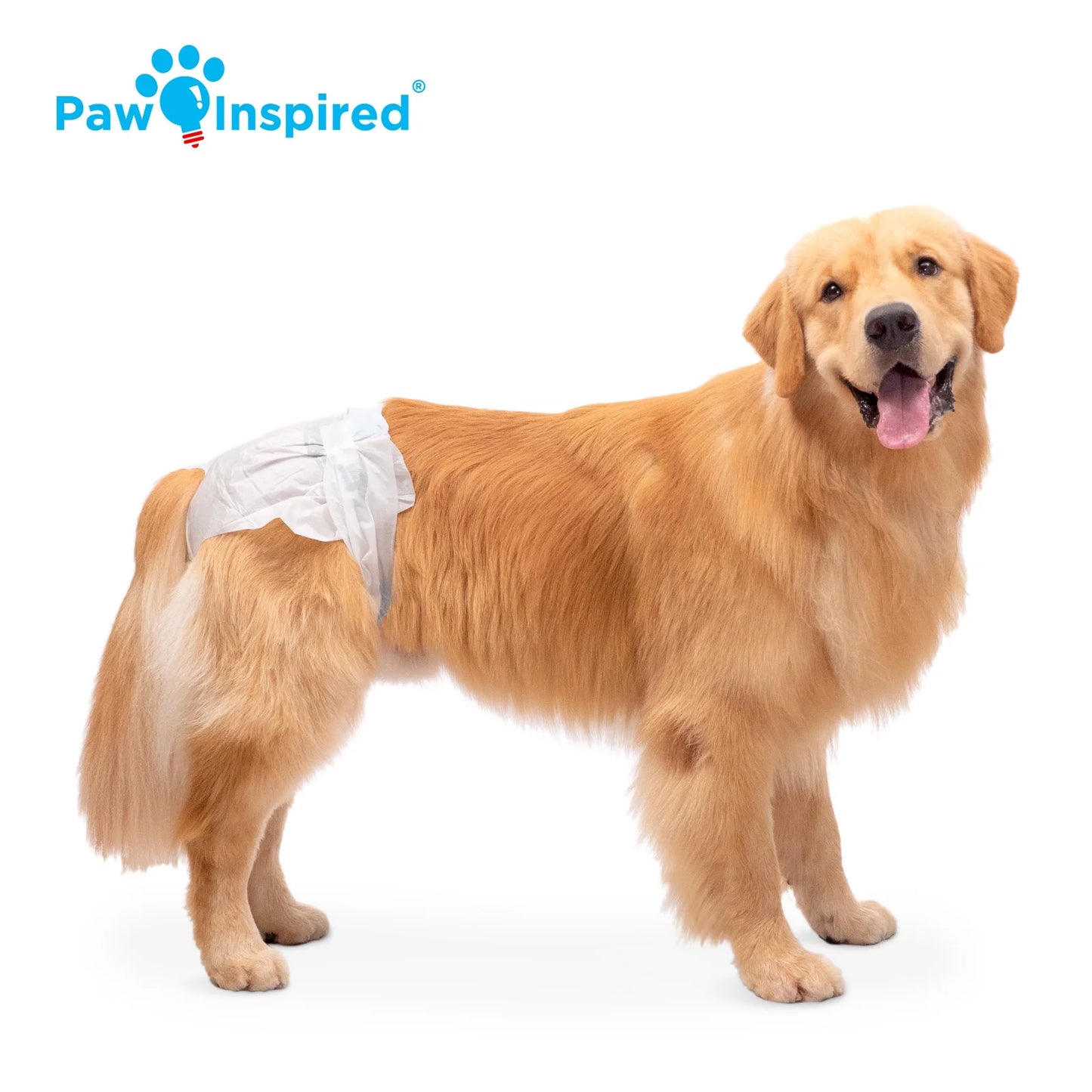 Disposable Dog Diapers Female| Puppy, Doggie, Cat, Pet Diapers |Diapers for Dogs in Heat Period, Diapers That Stay On, Senior, Excitable Urination, or Incontinence (X-Large, 20 Count)