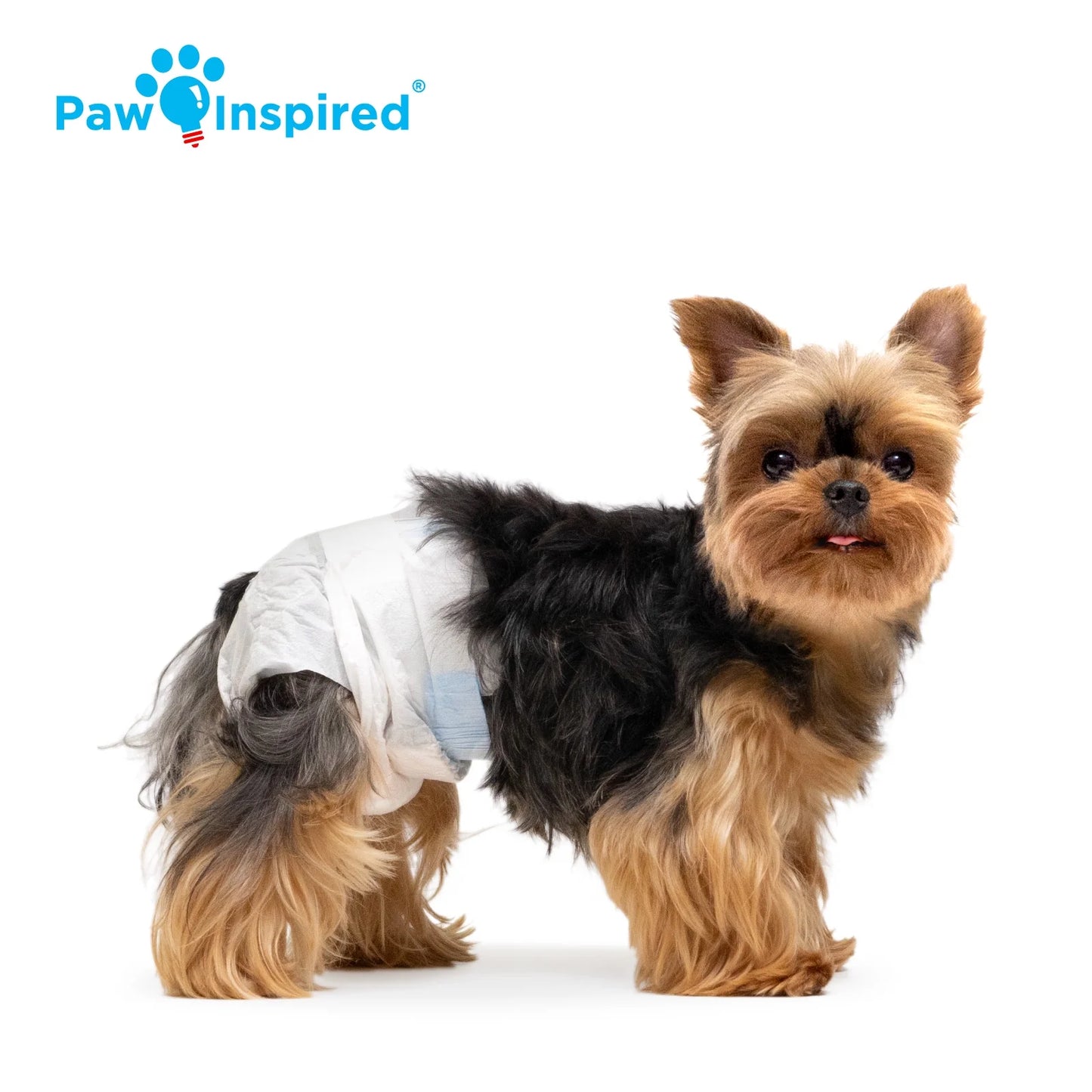 Disposable Dog Diapers Female| Puppy, Doggie, Cat Diapers |Diapers for Dogs in Heat Period, Diapers That Stay on Bulk, Senior, Excitable Urination, or Incontinence (X-Small, 32 Count)