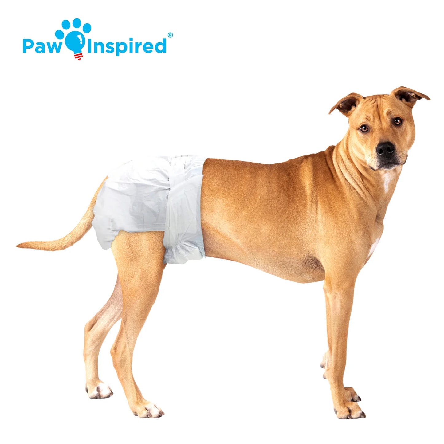 Disposable Dog Diapers Female| Puppy, Doggie, Cat, Pet Diapers |Diapers for Dogs in Heat Period, Diapers That Stay On, Senior, Excitable Urination, Incontinence (Medium Plus, 32 Count)