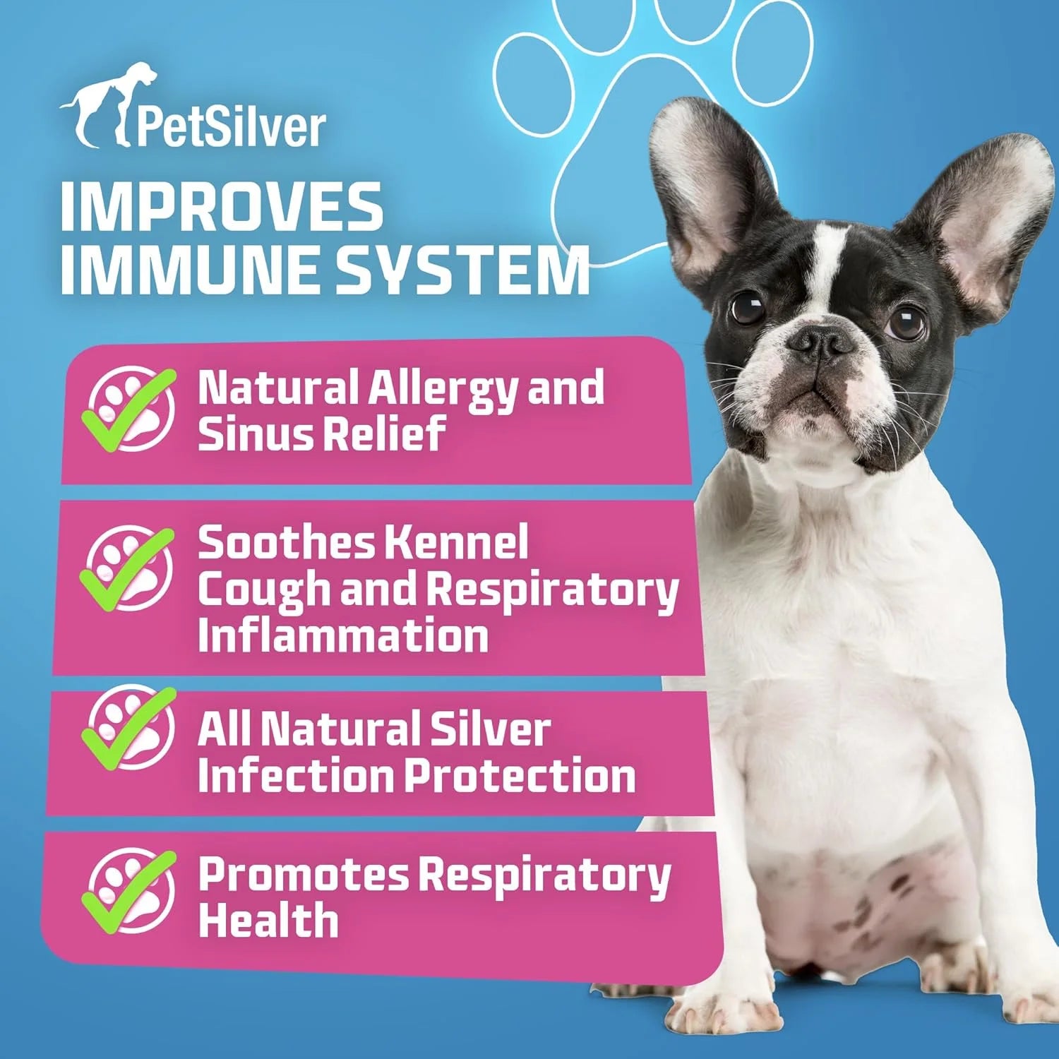 Respiratory Solution with Chelated Silver for Cats and Dogs, Gentle Allergen Free Formula, Use with Nebulizer or Syringe, Fragrance and Flavor Free, 16 Oz.