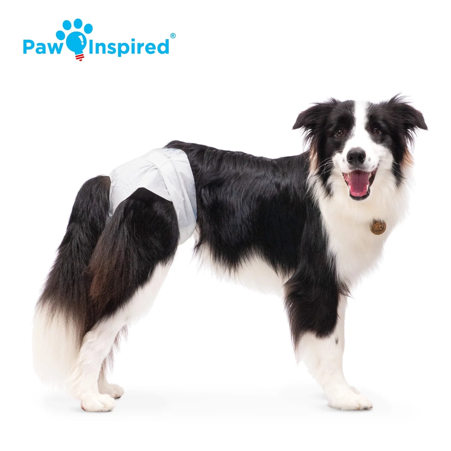 Disposable Dog Diapers Female| Puppy, Doggie, Cat, Pet Diapers |Diapers for Dogs in Heat Period, Diapers That Stay On, Senior, Excitable Urination, or Incontinence (Large, 20 Count)