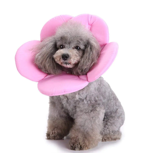 Dogs Cats Medical Grooming Pet E-Collar Recovery Remedy Protective Dog Lick Caught Soft Sponge Adjustable Postoperative Kit for Small and Medium Dog